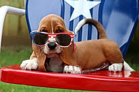 4th of July