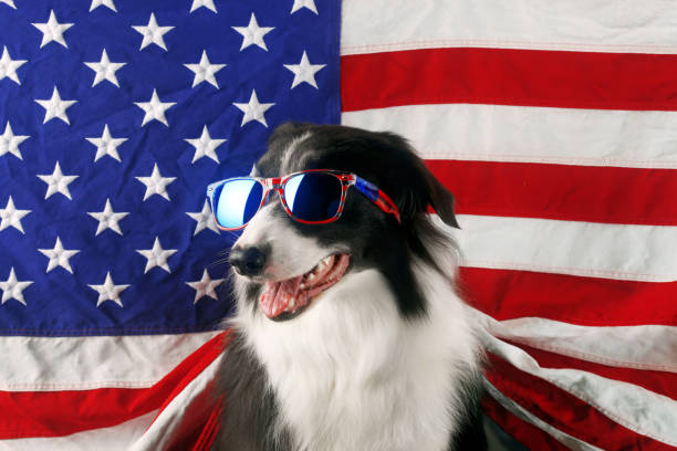 dog with flag