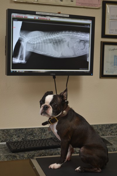 Oak Hills Veterinary Clinic tour Oak Hills Veterinary Clinic tour